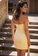 Larissa - Minikleid mit Bügelkorsett, abnehmbaren Trägern und Reißverschluss