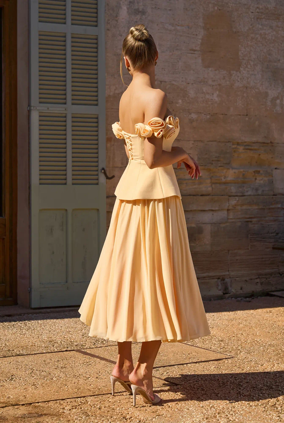 Nelida set - corset + skirt