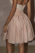 Leena - pink corset dress with embroidery