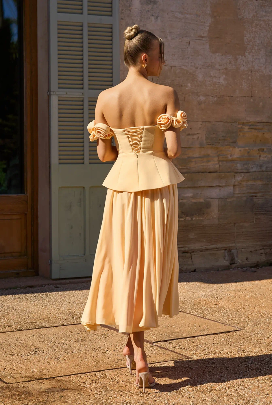 Nelida set - corset + skirt