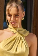 Rays - gold plated steel earrings